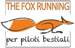 The Fox Running