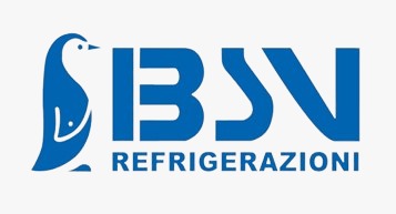 logo bsv